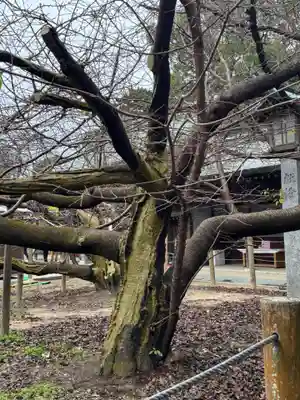宮地嶽神社(福岡県)