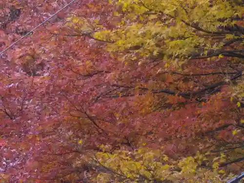 東勝寺跡の景色