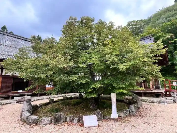 百済寺(滋賀県)