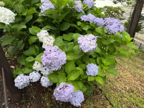 狭山山不動寺(埼玉県)
