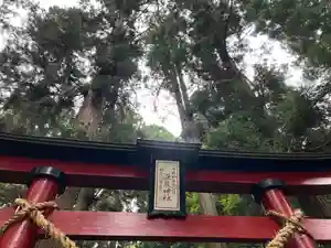 大宮温泉神社の鳥居(2022年08月07日(日) 08時47分26秒投稿)