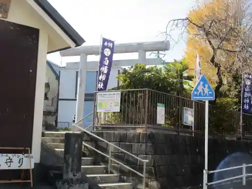 白幡神社の鳥居