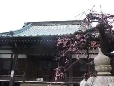 九品寺の本殿・本堂