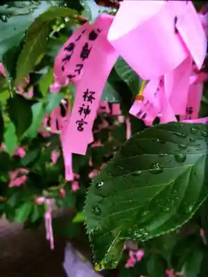 桜神宮(東京都)