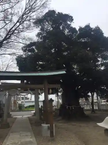 宗道神社の鳥居