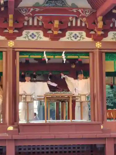 鶴岡八幡宮の初詣