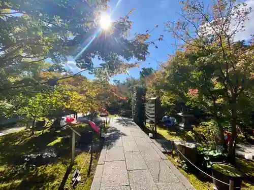 勝林寺(京都府)