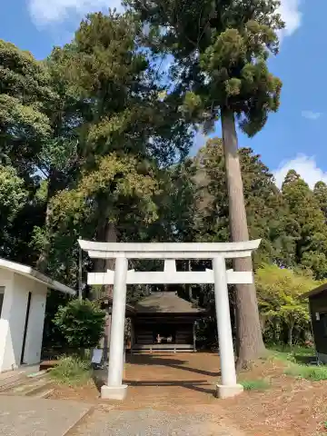 白幡神社(千葉県)
