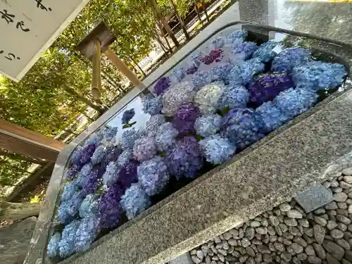 桜神宮(東京都)