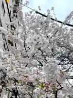 秋葉神社(東京都)
