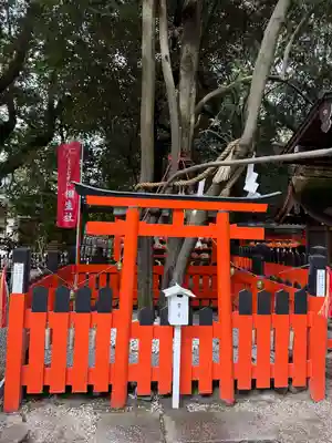 賀茂御祖神社（下鴨神社）(京都府)