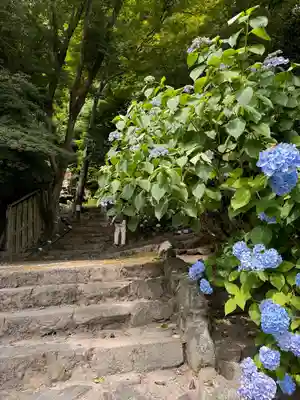 矢田寺(奈良県)
