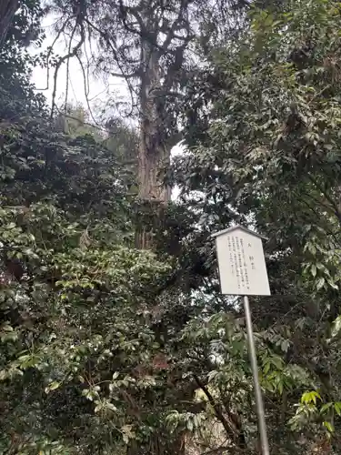 一之宮貫前神社(群馬県)