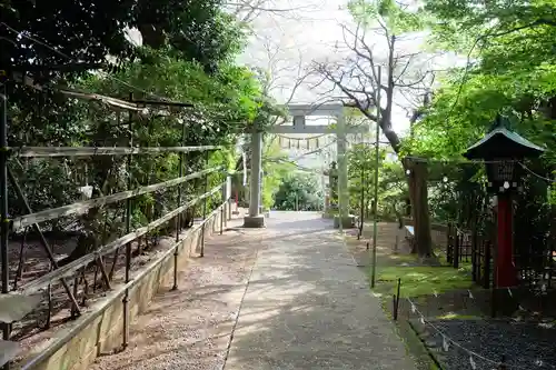 諏訪神社の鳥居