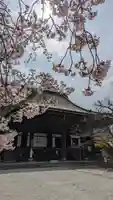 真正極楽寺(真如堂)(京都府)