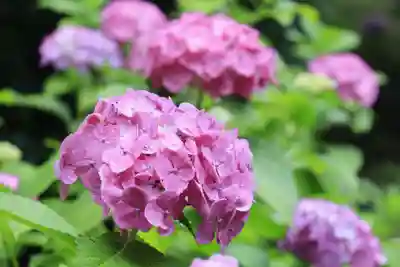  智積院(京都府)