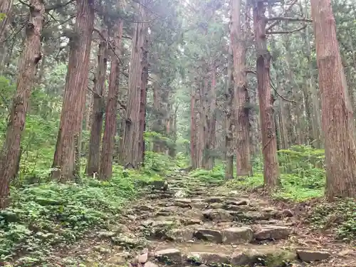 小菅神社奥社(長野県)