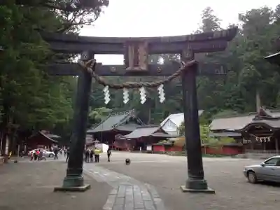 日光二荒山神社の鳥居