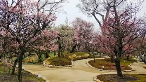 北野天満宮の庭園