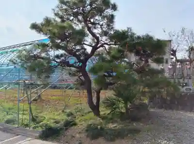 長言寺(埼玉県)