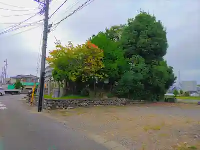 愛宕社(勝川町)の自然