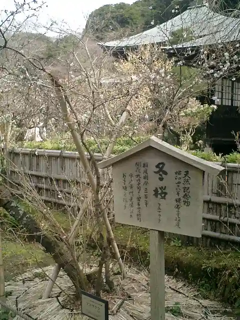 瑞泉寺のその他建物