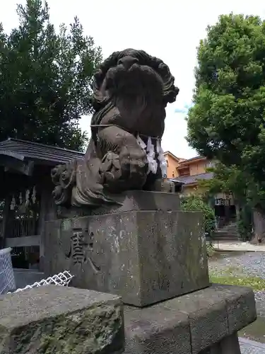 鳩ヶ谷氷川神社の狛犬