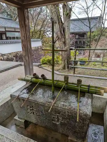善峯寺(京都府)