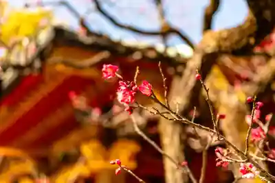 根津神社(東京都)