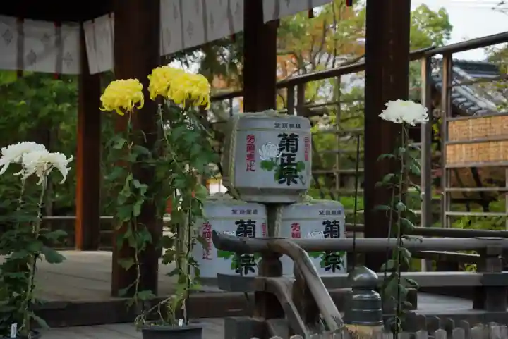 御霊神社(上御霊神社)(京都府)
