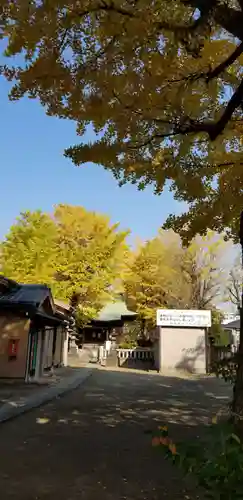 高木神社(東京都)