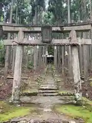 賀茂神社の鳥居