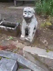 千養寺の狛犬