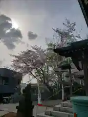 多田神社(東京都)