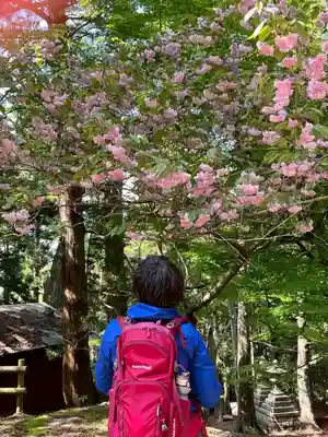 能勢妙見山（真如寺境外仏堂）(大阪府)