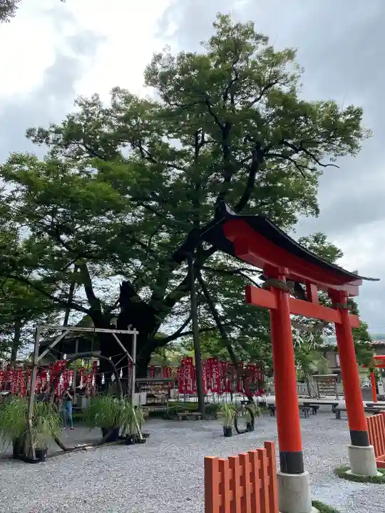 秩父今宮神社(埼玉県)