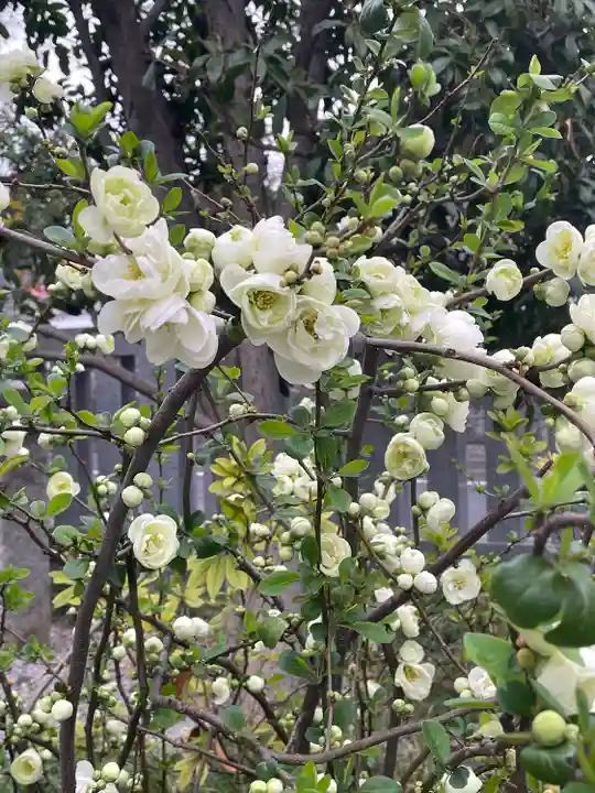 高田氷川神社(東京都)
