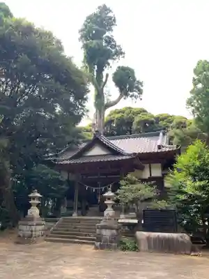 高野神社の本殿・本堂