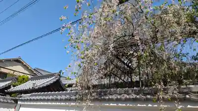 如意寺(京都府)