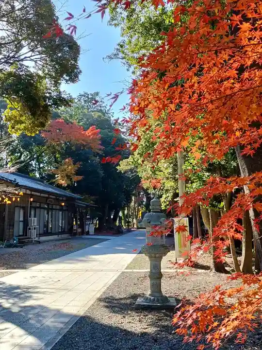 諏訪八幡神社の庭園