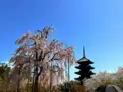 東寺（教王護国寺）(京都府)