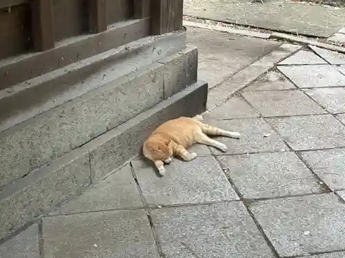 琴彈八幡宮(香川県)