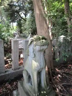 猿田彦神社の狛犬
