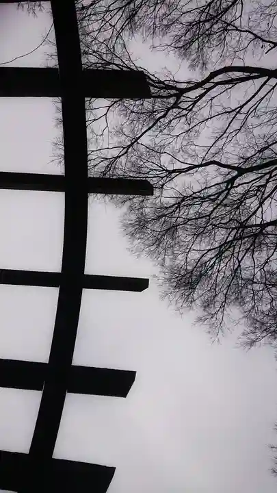 神明社(国府宮神明社)の景色