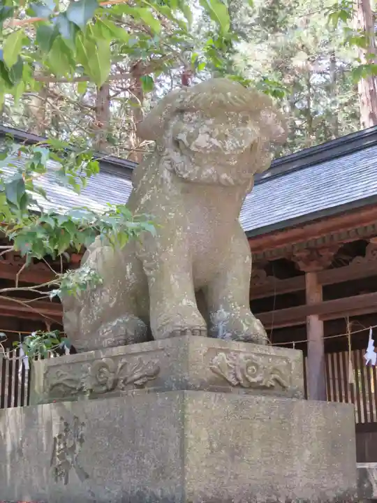 矢彦神社の狛犬