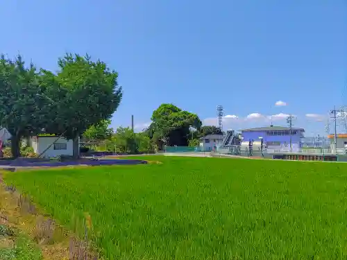 神明社（甲新田須賀北）の自然