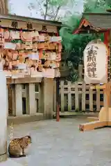 小野照崎神社の動物