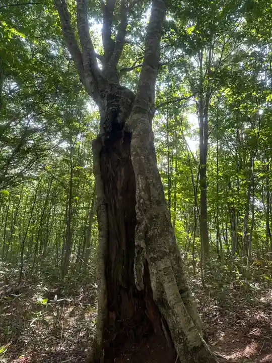 駒形神社奥宮(岩手県)