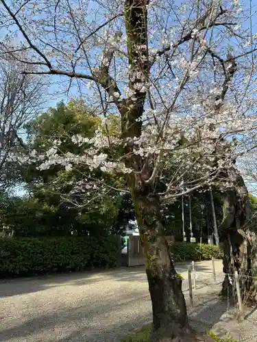 鷲宮神社のその他建物