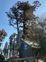 鹿嶋三嶋神社(茨城県)